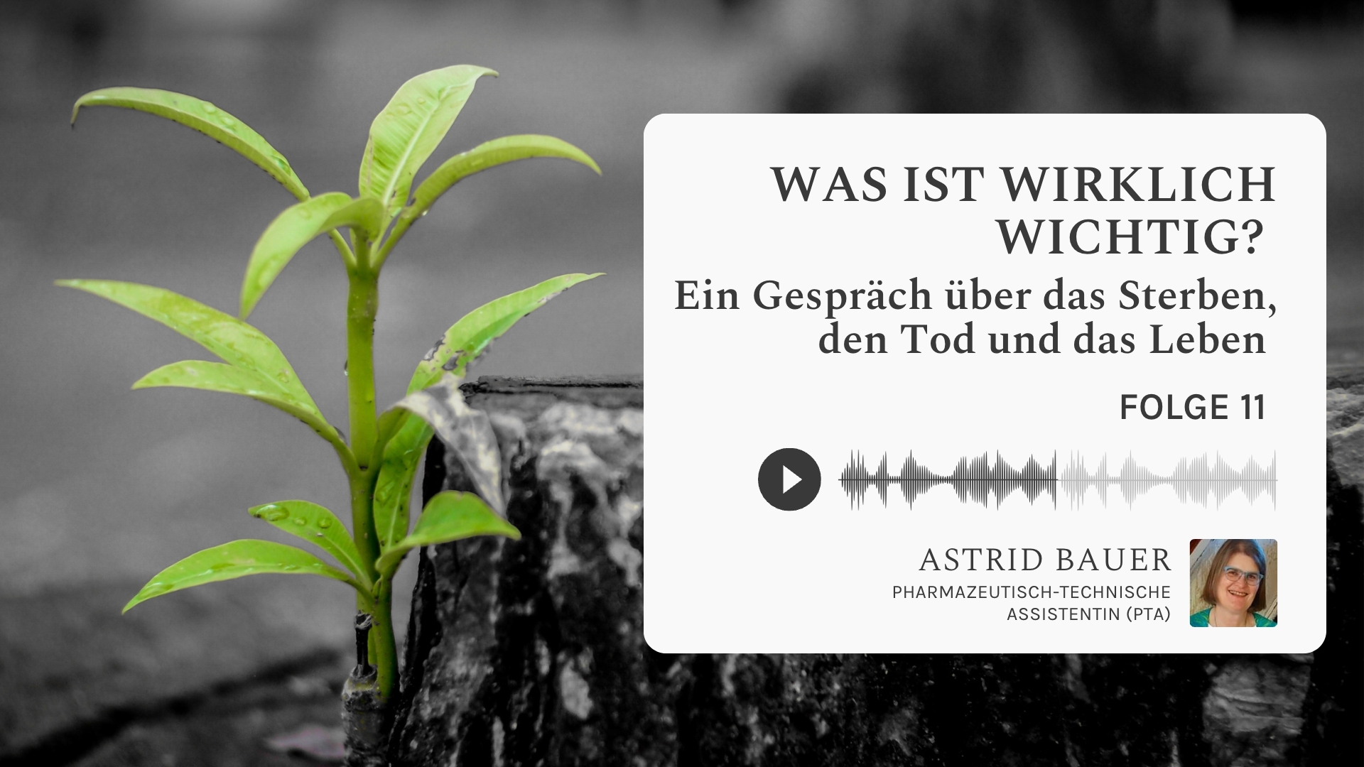 Podcast Astrid Bauer Sterben, Leben, Tod, Liebe