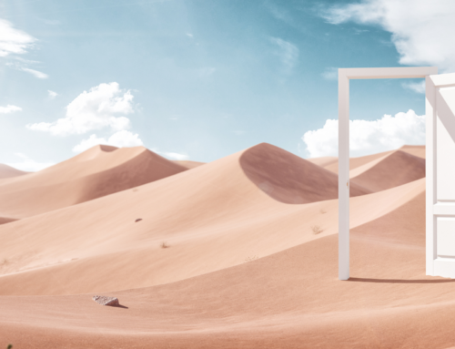 „Wir haben doch entschieden“ – Wenn Entscheidungen im Treibsand versinken